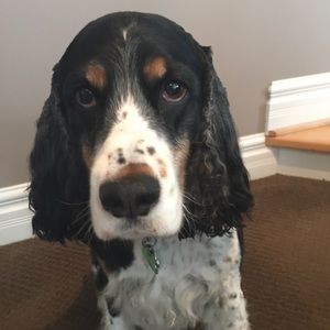 Meet your Posher, Leigha